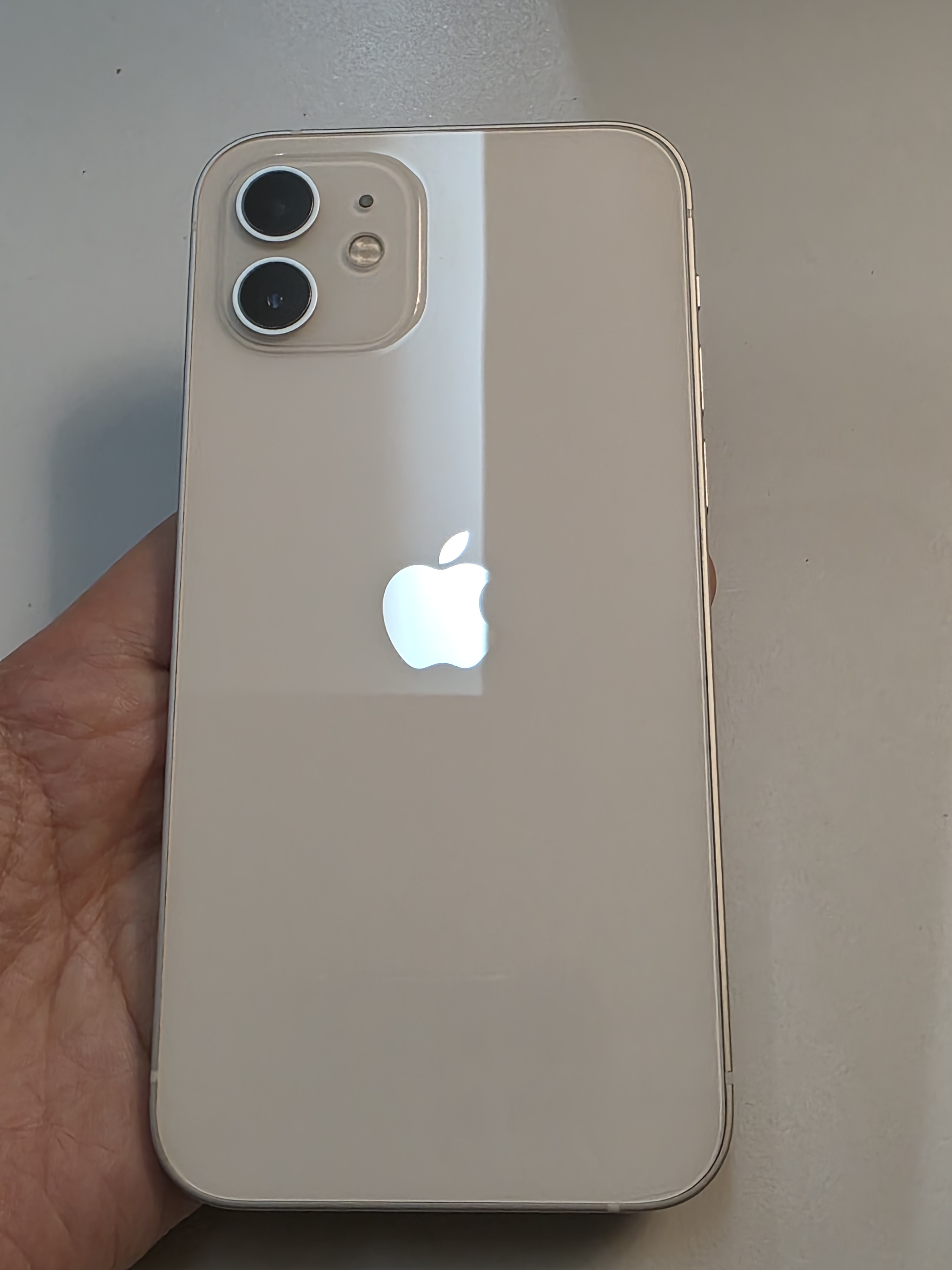 iPhone 12 TE-14