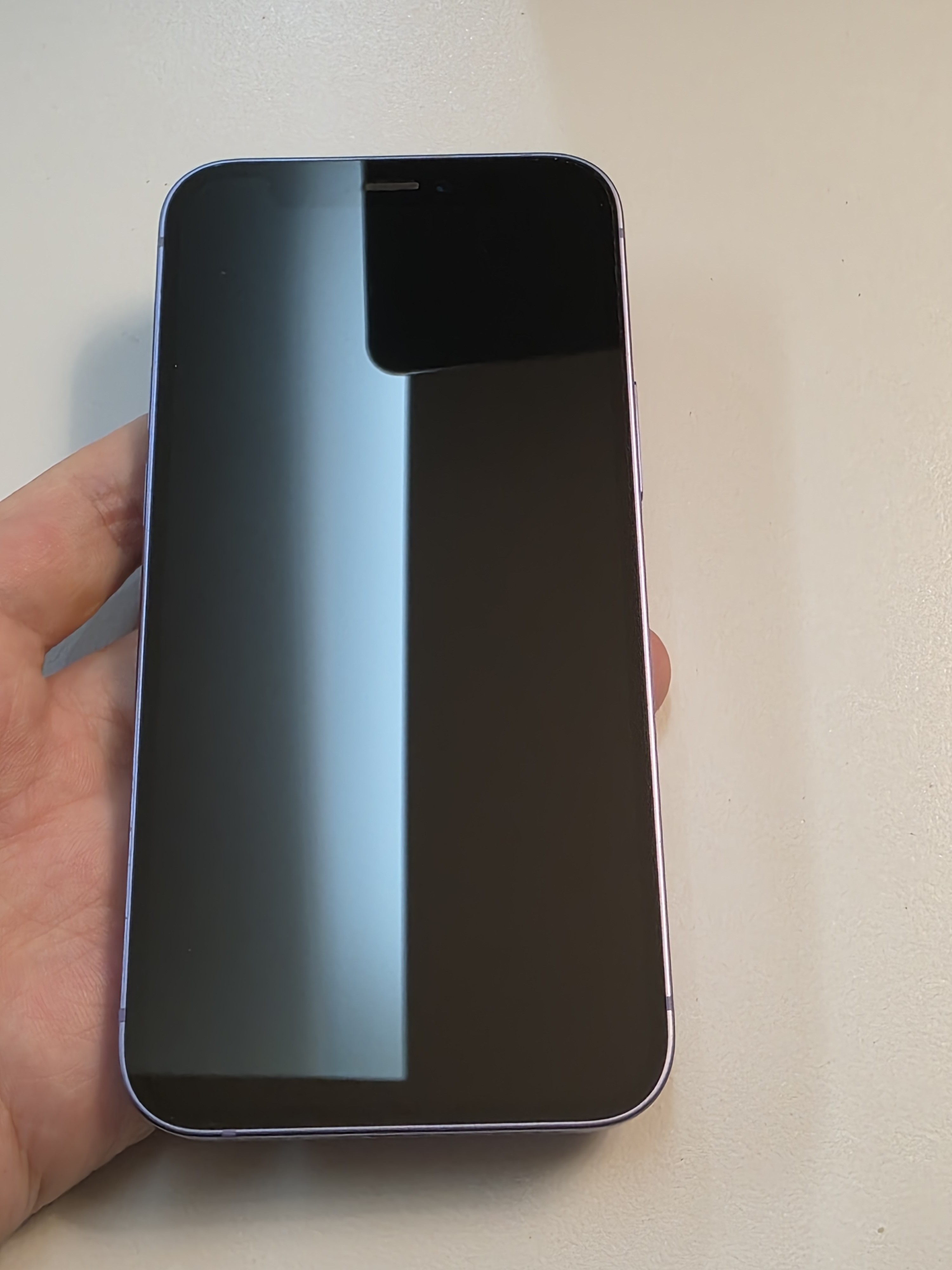 iPhone 12 mini TE-20