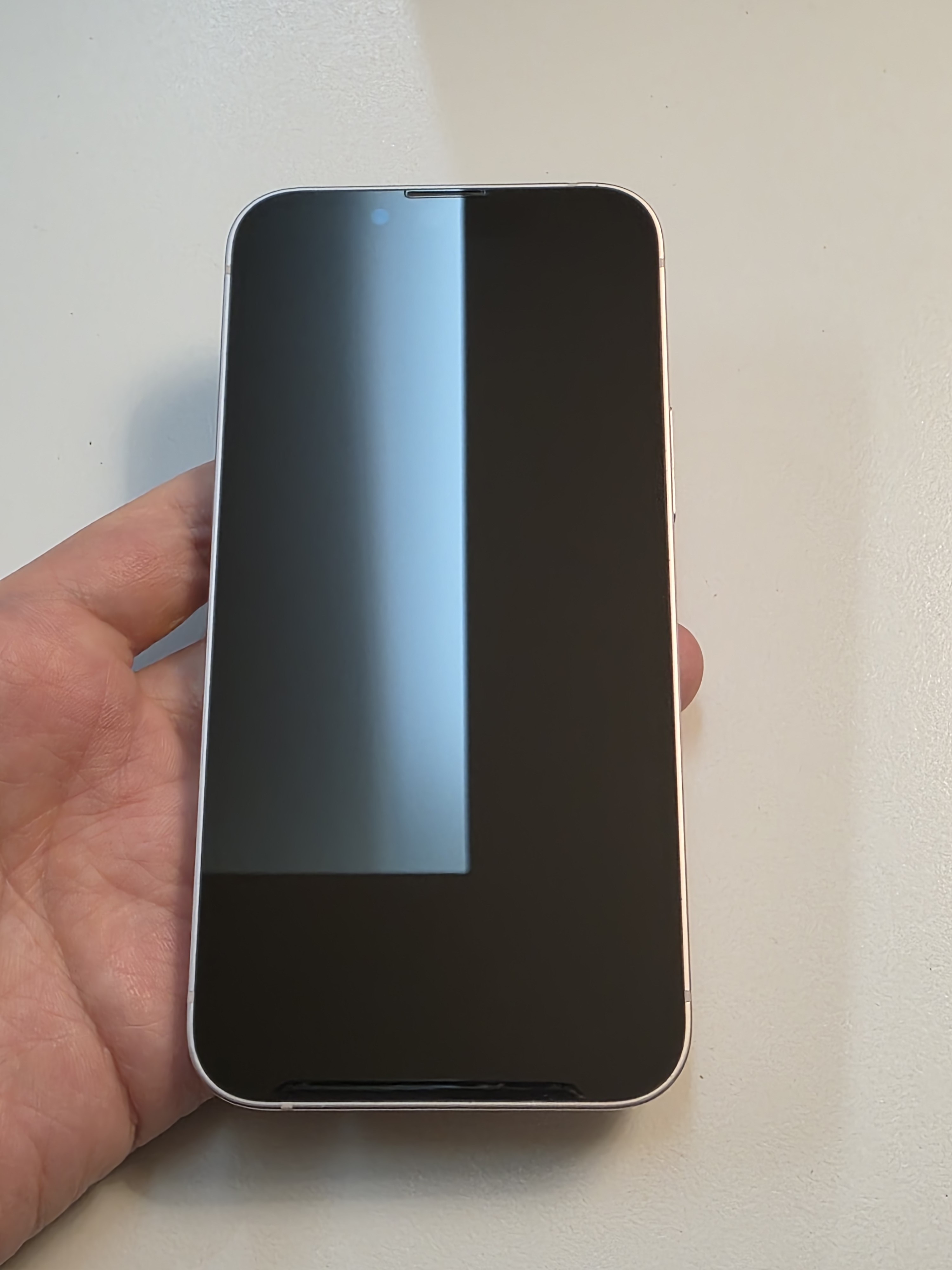 iPhone 13 mini TE-31