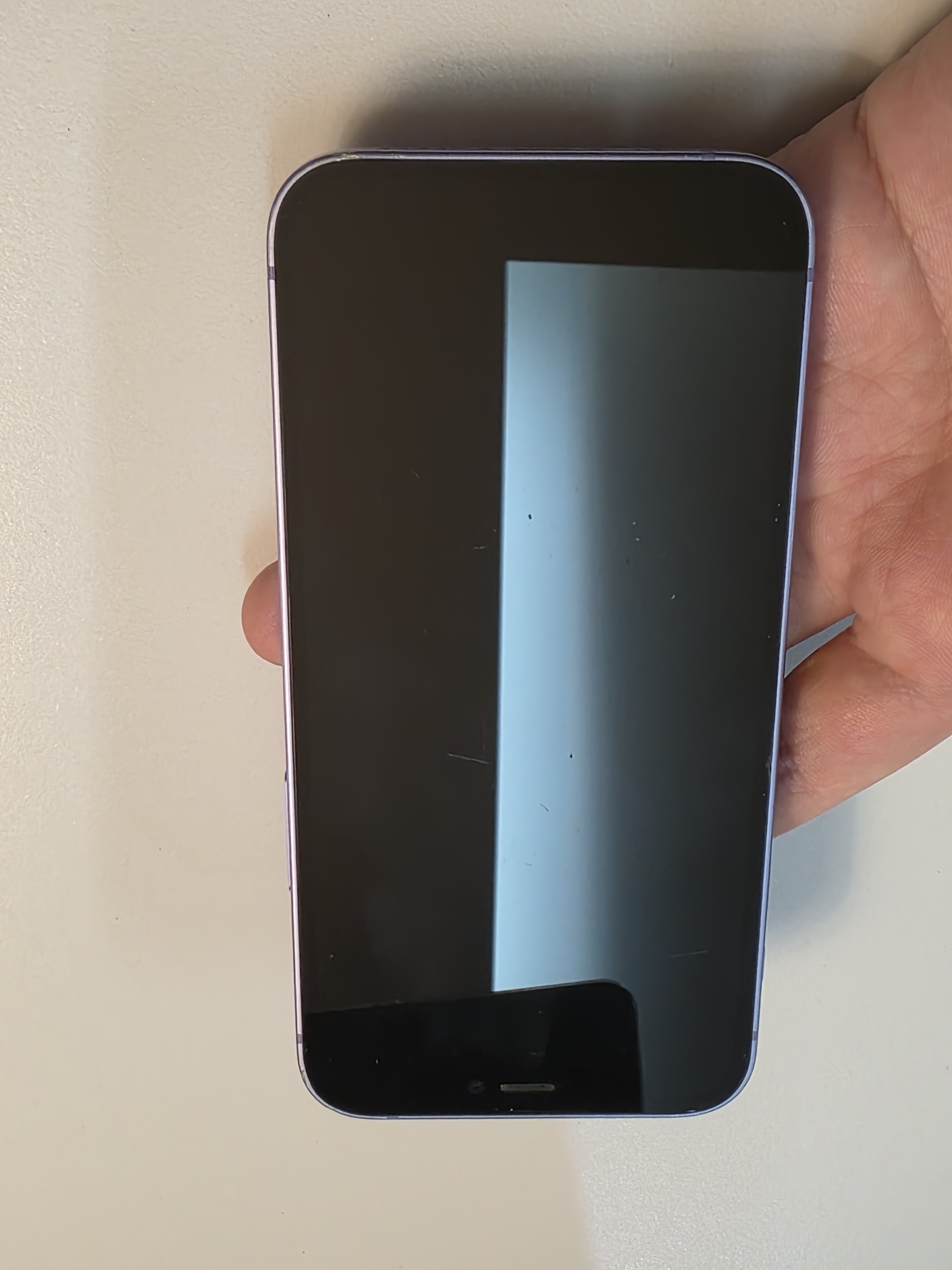 iPhone 12 mini TE-33
