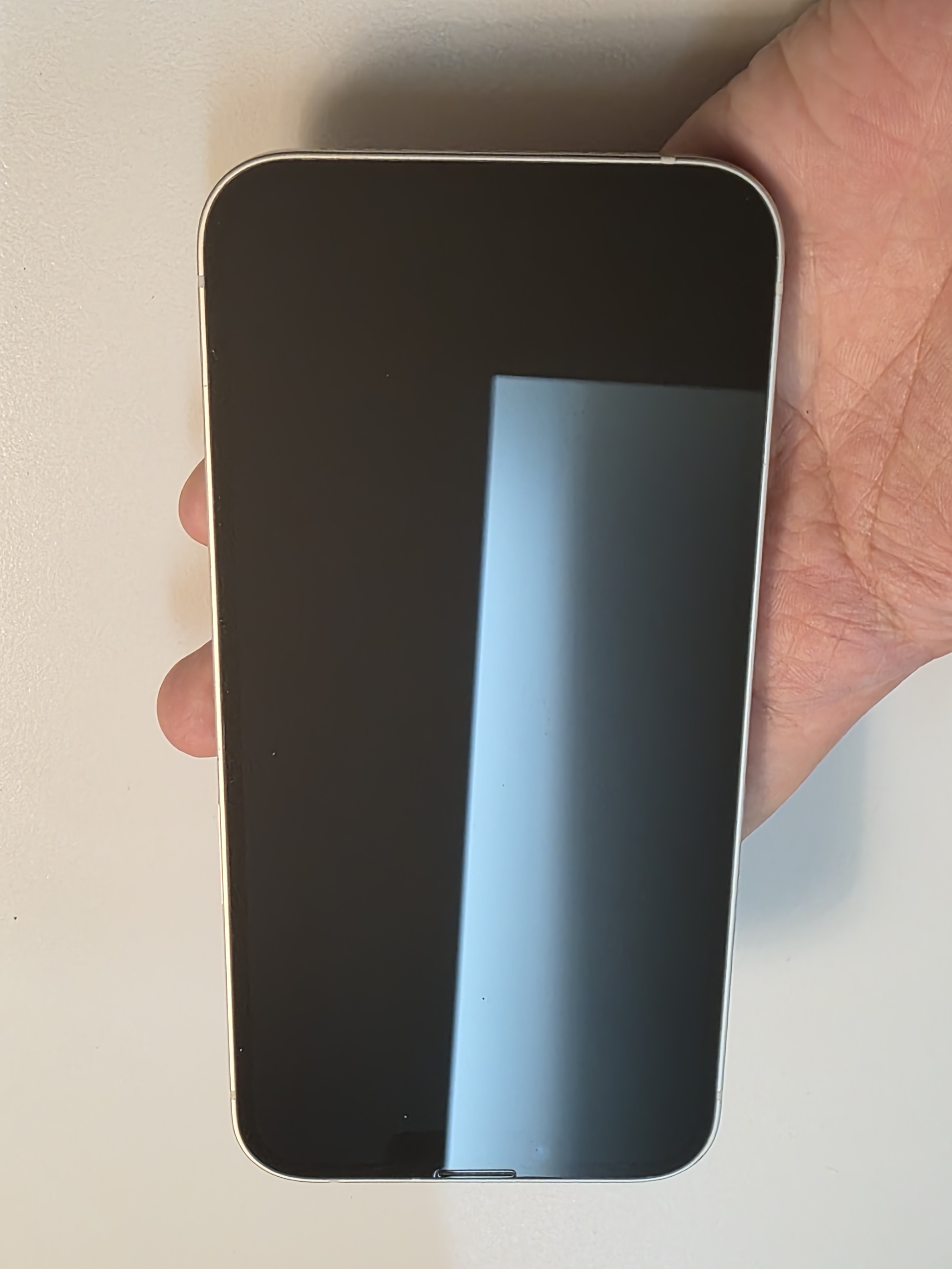 iPhone 13 TE-43