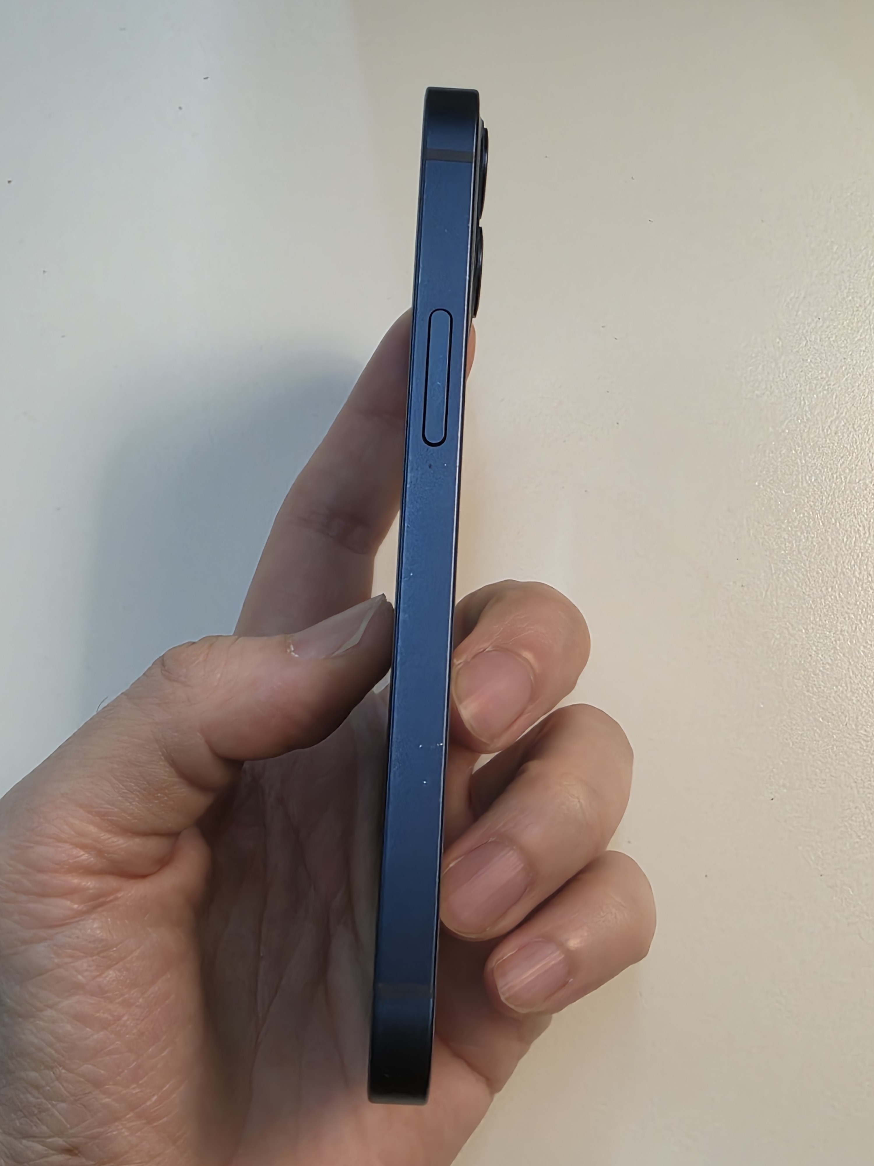 iPhone 12 mini TE-49